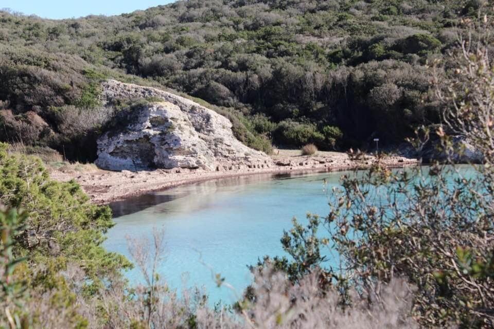 Case Di A Cappana-Villa Vincent Bonifacio  Dış mekan fotoğraf